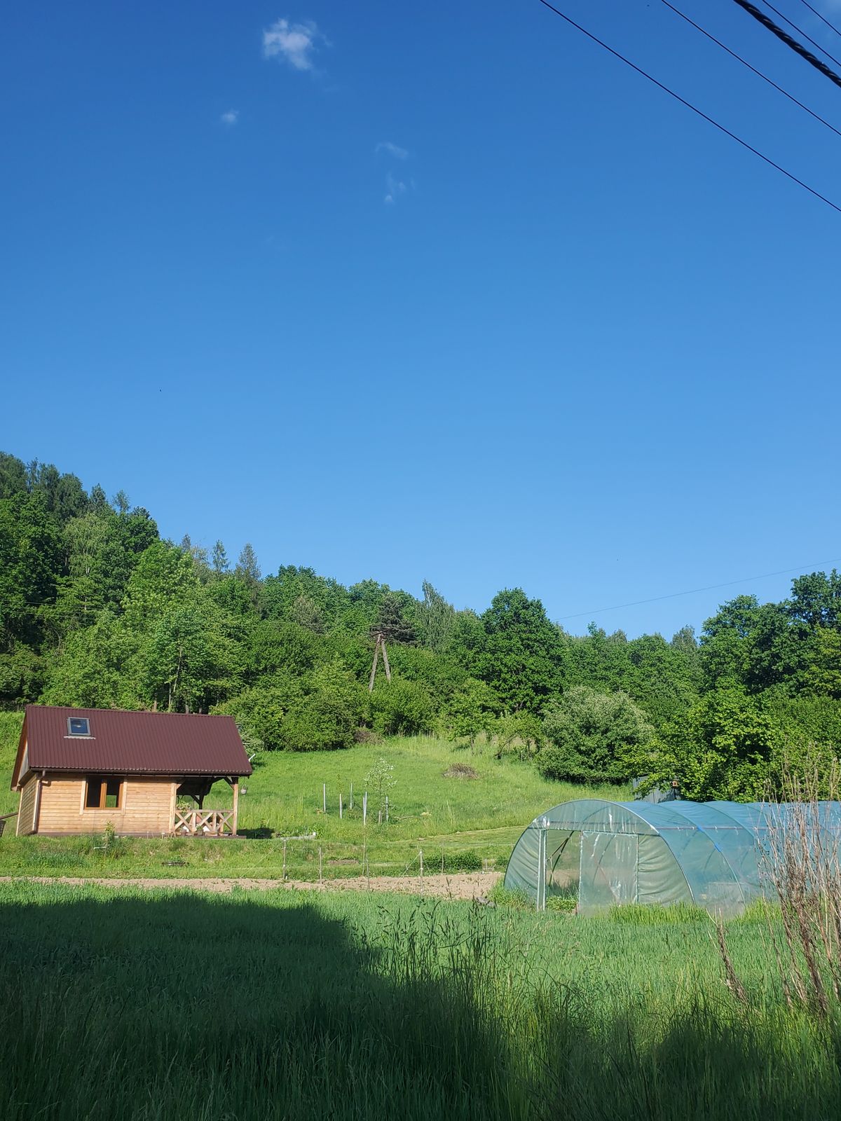 House in village surrounded by lush green field