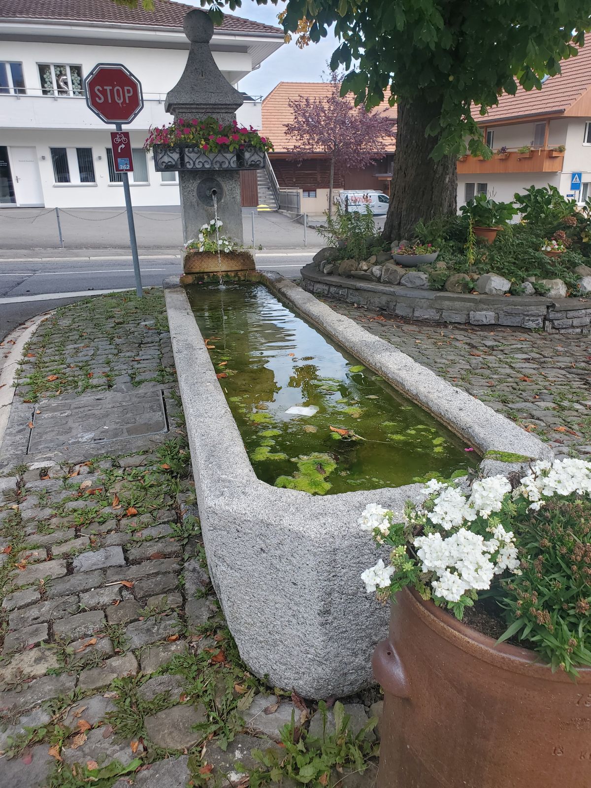 Long and thin water fountain